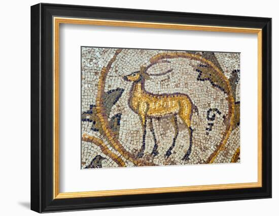 Deer mosaic, New House Of Hunt, Bulla Regia Archaeological Site, Tunisia-Nico Tondini-Framed Photographic Print