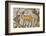 Deer mosaic, New House Of Hunt, Bulla Regia Archaeological Site, Tunisia-Nico Tondini-Framed Photographic Print