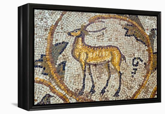 Deer mosaic, New House Of Hunt, Bulla Regia Archaeological Site, Tunisia-Nico Tondini-Framed Premier Image Canvas