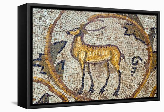 Deer mosaic, New House Of Hunt, Bulla Regia Archaeological Site, Tunisia-Nico Tondini-Framed Premier Image Canvas