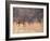 Deer on Gardiners Island-Alfred Eisenstaedt-Framed Photographic Print