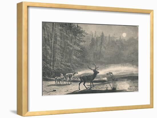 'Deer on Lake St. Regis, at night', 1883-Unknown-Framed Giclee Print