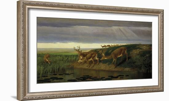 Deer on the Prairie, 1884-William Holbrook Beard-Framed Giclee Print