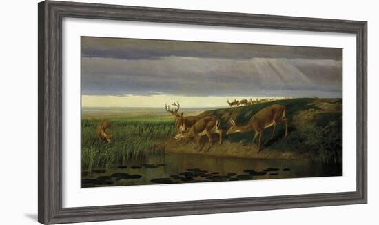 Deer on the Prairie, 1884-William Holbrook Beard-Framed Giclee Print