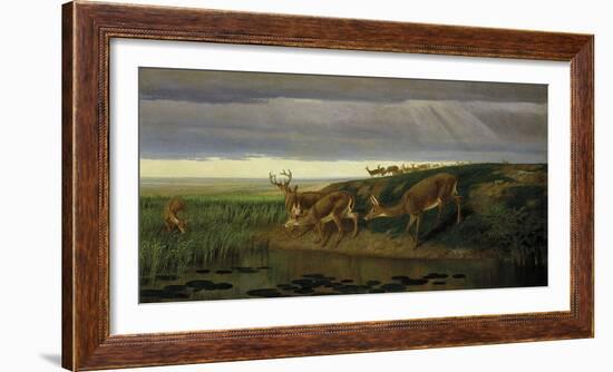 Deer on the Prairie, 1884-William Holbrook Beard-Framed Giclee Print