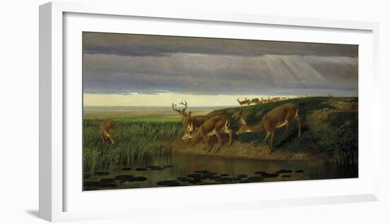 Deer on the Prairie, 1884-William Holbrook Beard-Framed Giclee Print