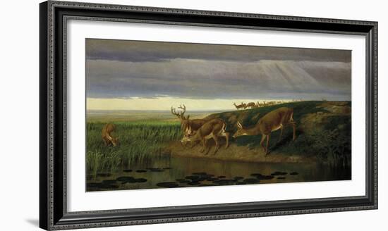 Deer on the Prairie, 1884-William Holbrook Beard-Framed Giclee Print