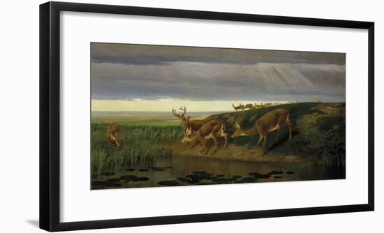 Deer on the Prairie, 1884-William Holbrook Beard-Framed Giclee Print