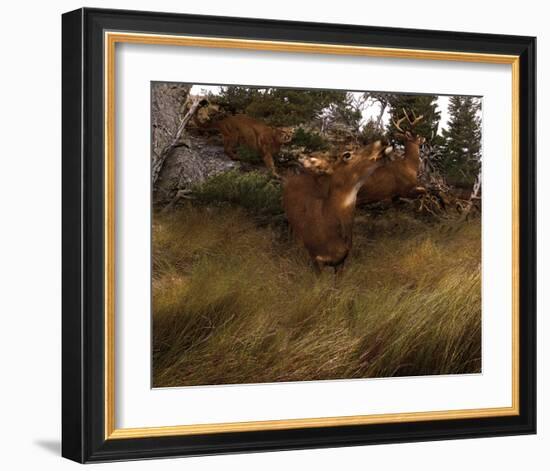 Deer Panic-Steve Hunziker-Framed Art Print