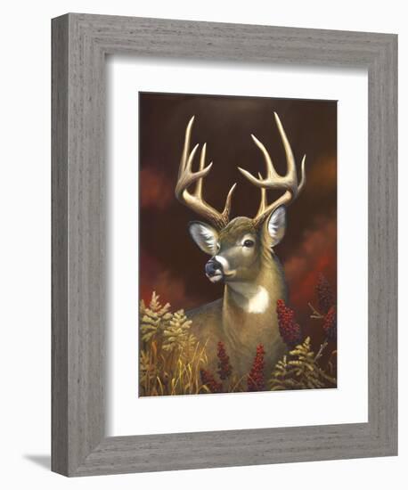 Deer Portrait-Leo Stans-Framed Art Print