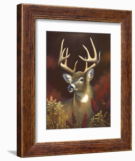 Deer Portrait-Leo Stans-Framed Art Print