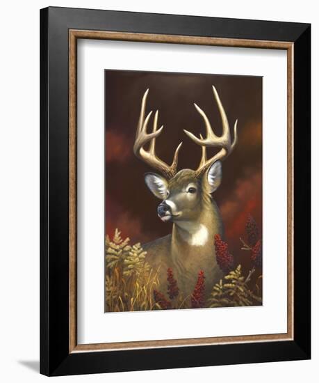 Deer Portrait-Leo Stans-Framed Art Print