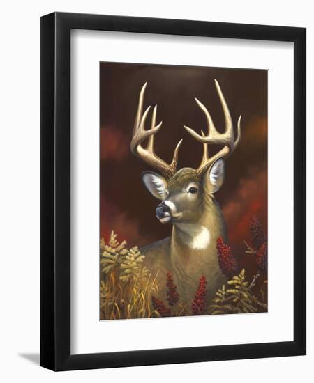Deer Portrait-Leo Stans-Framed Art Print