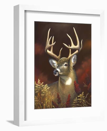 Deer Portrait-Leo Stans-Framed Art Print