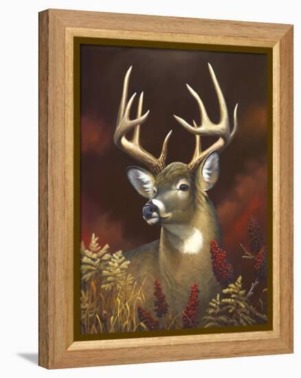 Deer Portrait-Leo Stans-Framed Stretched Canvas