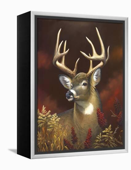 Deer Portrait-Leo Stans-Framed Stretched Canvas