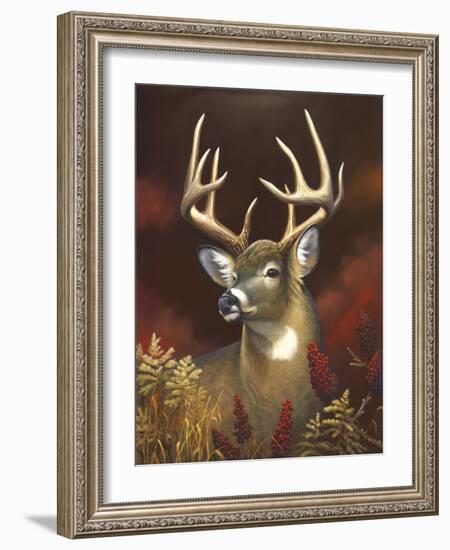 Deer Portrait-Leo Stans-Framed Art Print