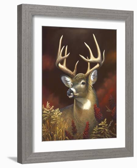 Deer Portrait-Leo Stans-Framed Art Print