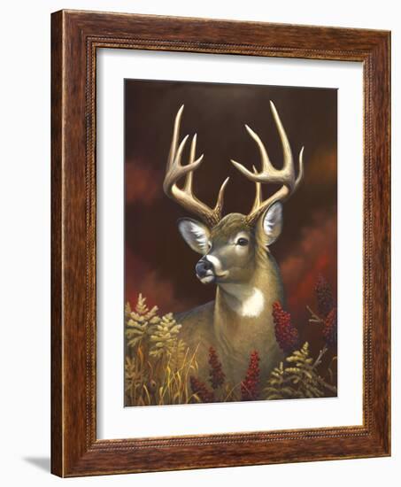 Deer Portrait-Leo Stans-Framed Art Print