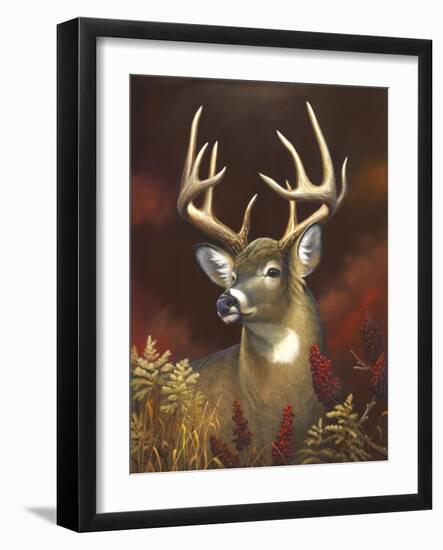 Deer Portrait-Leo Stans-Framed Art Print