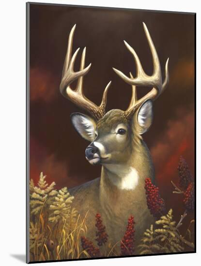 Deer Portrait-Leo Stans-Mounted Art Print