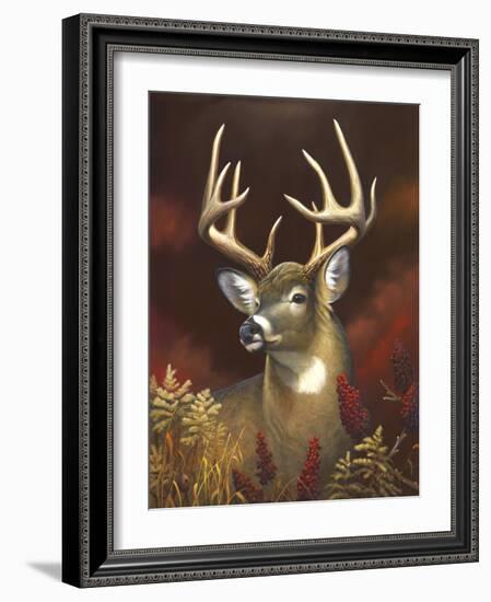 Deer Portrait-Leo Stans-Framed Art Print