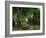 Deer Reserve at Plaisir Fontaine, 1866-Gustave Courbet-Framed Giclee Print