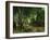 Deer Reserve at Plaisir Fontaine, 1866-Gustave Courbet-Framed Giclee Print