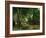 Deer Reserve at Plaisir Fontaine, 1866-Gustave Courbet-Framed Giclee Print