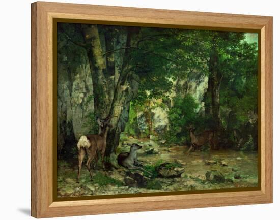 Deer Reserve at Plaisir Fontaine, 1866-Gustave Courbet-Framed Premier Image Canvas