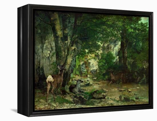 Deer Reserve at Plaisir Fontaine, 1866-Gustave Courbet-Framed Premier Image Canvas
