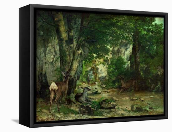 Deer Reserve at Plaisir Fontaine, 1866-Gustave Courbet-Framed Premier Image Canvas