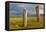 Deer stones with inscriptions, 1000 BC, Mongolia.-Tom Norring-Framed Premier Image Canvas