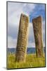 Deer stones with inscriptions, 1000 BC, Mongolia.-Tom Norring-Mounted Photographic Print