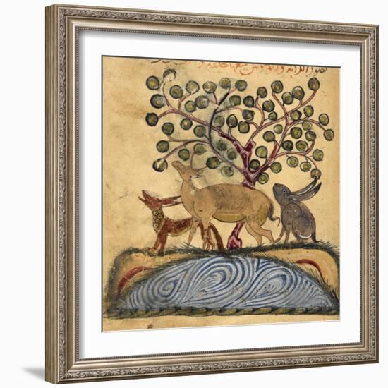 Deer-type, Rabbit and Fox, Standing Over Water-Aristotle ibn Bakhtishu-Framed Giclee Print