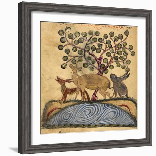 Deer-type, Rabbit and Fox, Standing Over Water-Aristotle ibn Bakhtishu-Framed Giclee Print