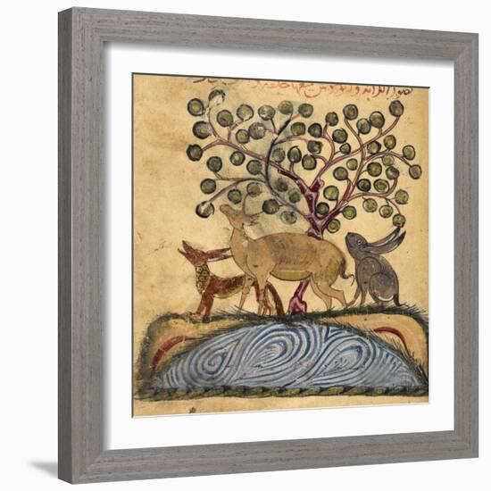 Deer-type, Rabbit and Fox, Standing Over Water-Aristotle ibn Bakhtishu-Framed Giclee Print