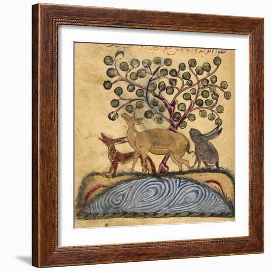 Deer-type, Rabbit and Fox, Standing Over Water-Aristotle ibn Bakhtishu-Framed Giclee Print