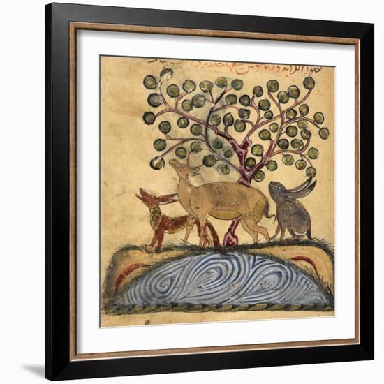 Deer-type, Rabbit and Fox, Standing Over Water-Aristotle ibn Bakhtishu-Framed Giclee Print