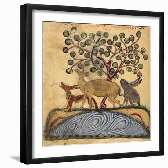 Deer-type, Rabbit and Fox, Standing Over Water-Aristotle ibn Bakhtishu-Framed Giclee Print