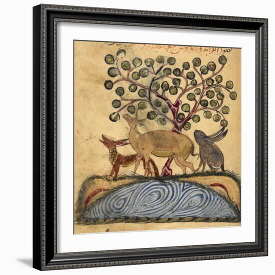 Deer-type, Rabbit and Fox, Standing Over Water-Aristotle ibn Bakhtishu-Framed Giclee Print