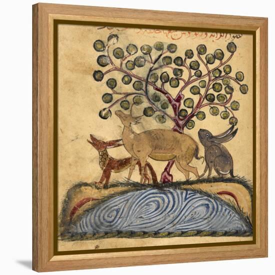 Deer-type, Rabbit and Fox, Standing Over Water-Aristotle ibn Bakhtishu-Framed Premier Image Canvas