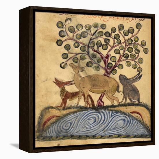 Deer-type, Rabbit and Fox, Standing Over Water-Aristotle ibn Bakhtishu-Framed Premier Image Canvas