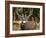 Deer Watch I-Ozana Sturgeon-Framed Photographic Print