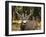 Deer Watch I-Ozana Sturgeon-Framed Photographic Print