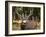 Deer Watch I-Ozana Sturgeon-Framed Photographic Print