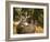 Deer Watch II-Ozana Sturgeon-Framed Photographic Print