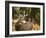 Deer Watch II-Ozana Sturgeon-Framed Photographic Print