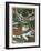 Deer with Cardinal-William Vanderdasson-Framed Giclee Print