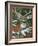 Deer with Cardinal-William Vanderdasson-Framed Giclee Print